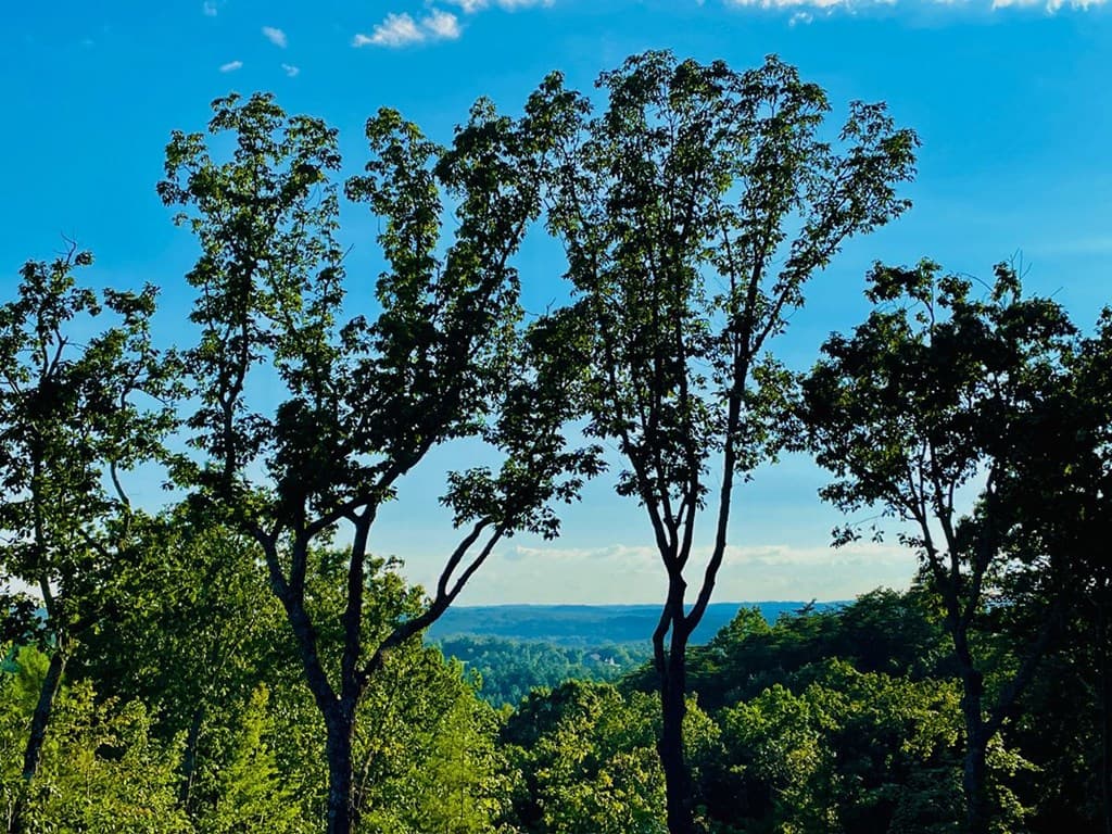 655 Lookout Valley Trail, Talking Rock GA 30175 - Photo