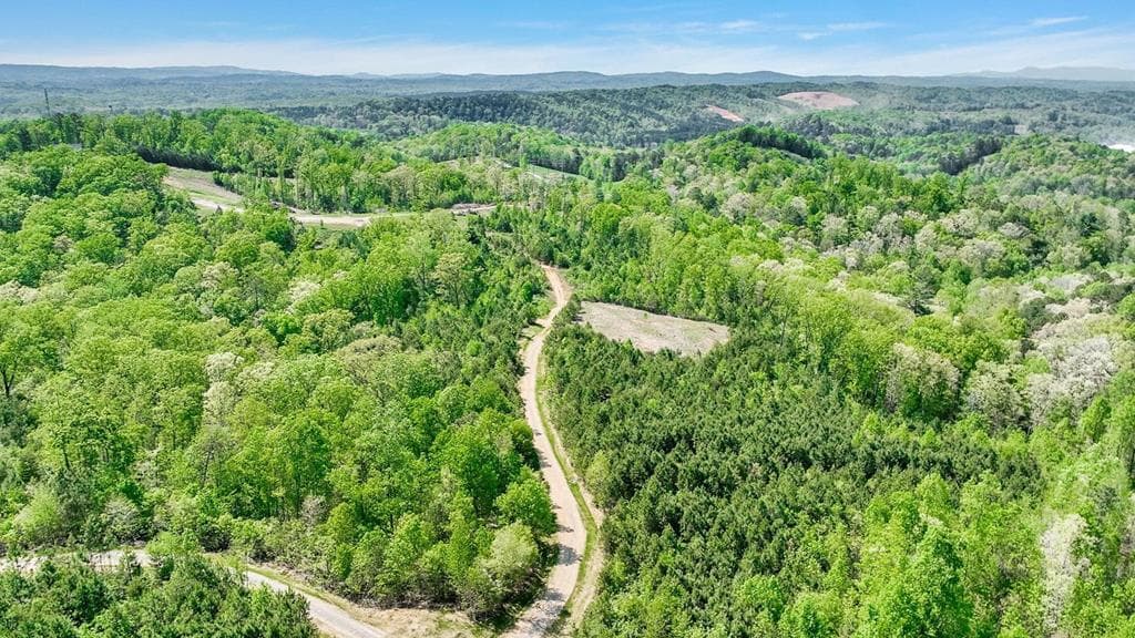 655 Lookout Valley Trail, Talking Rock GA 30175 - Primary photo