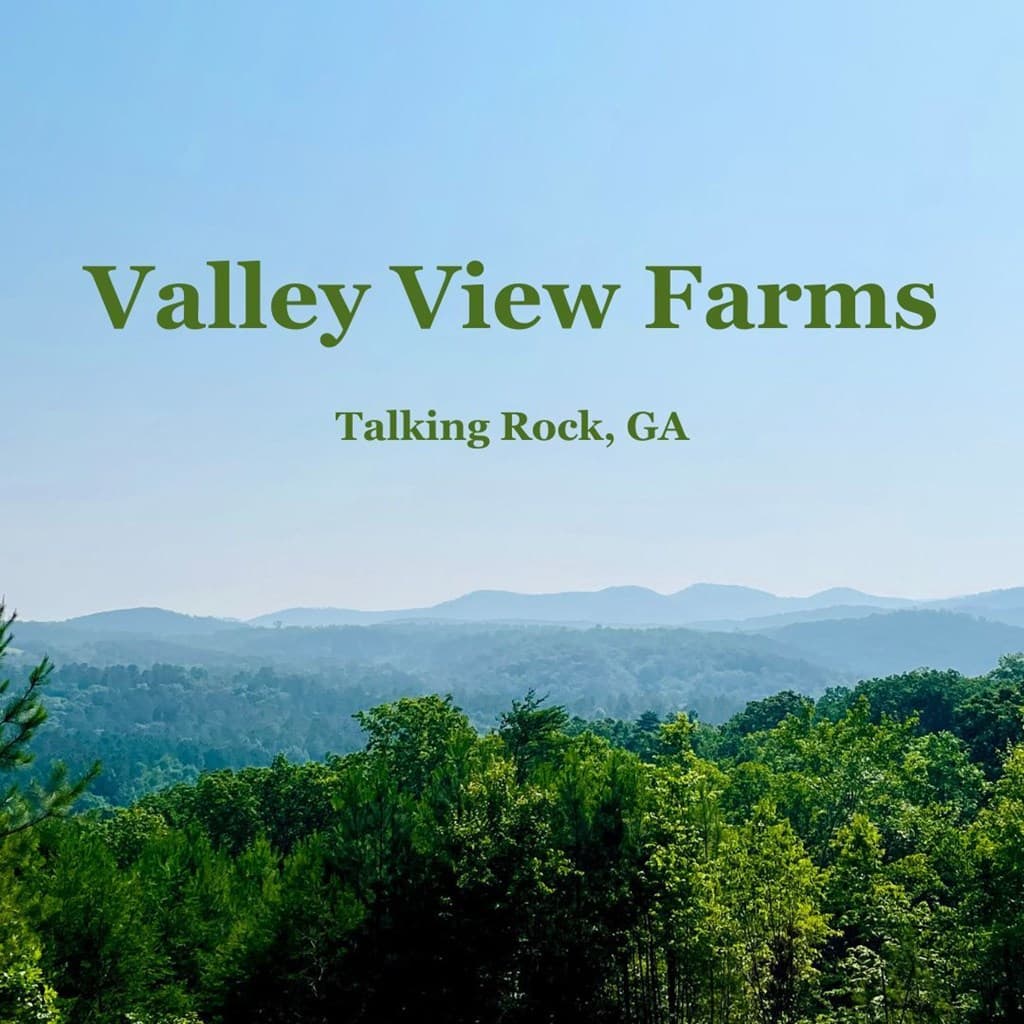 655 Lookout Valley Trail, Talking Rock GA 30175 - Photo