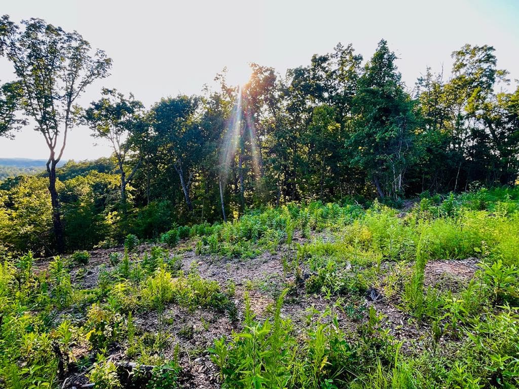 655 Lookout Valley Trail, Talking Rock GA 30175 - Photo