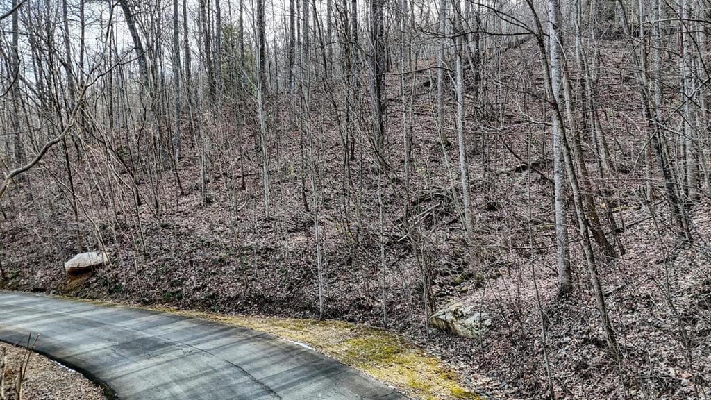 Lot #8 Overlook At Y. H., Young Harris GA 30582 - Photo