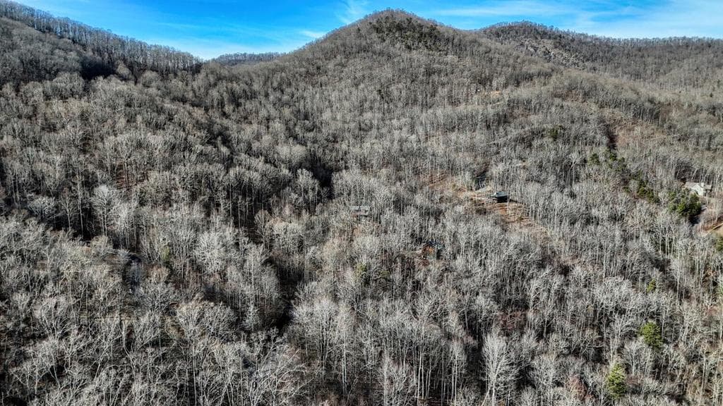 Lot #8 Overlook At Y. H., Young Harris GA 30582 - Photo