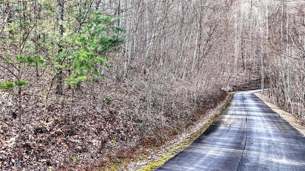 Lot #8 Overlook At Y. H., Young Harris GA 30582 - Photo