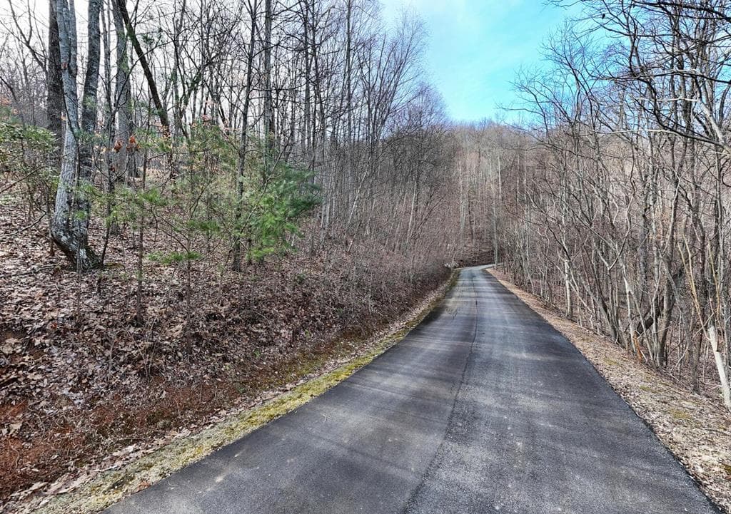 Lot #8 Overlook At Y. H., Young Harris GA 30582 - Photo