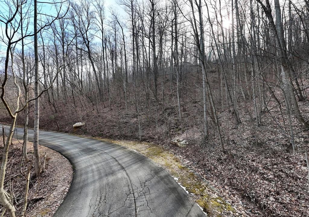 Lot #8 Overlook At Y. H., Young Harris GA 30582 - Photo