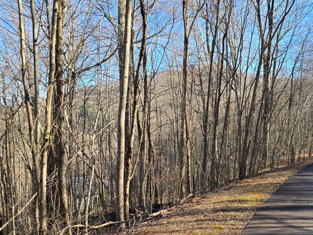 Lot #5 Overlook At Y.H., Young Harris GA 30582 - Photo