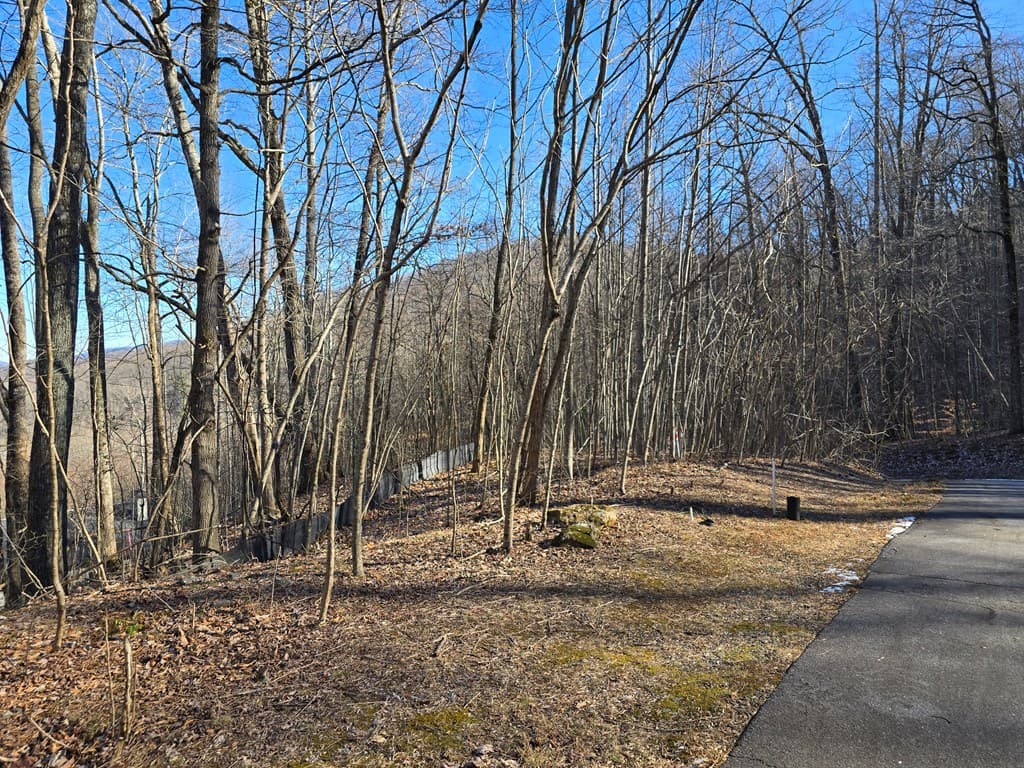 Lot #5 Overlook At Y.H., Young Harris GA 30582 - Photo