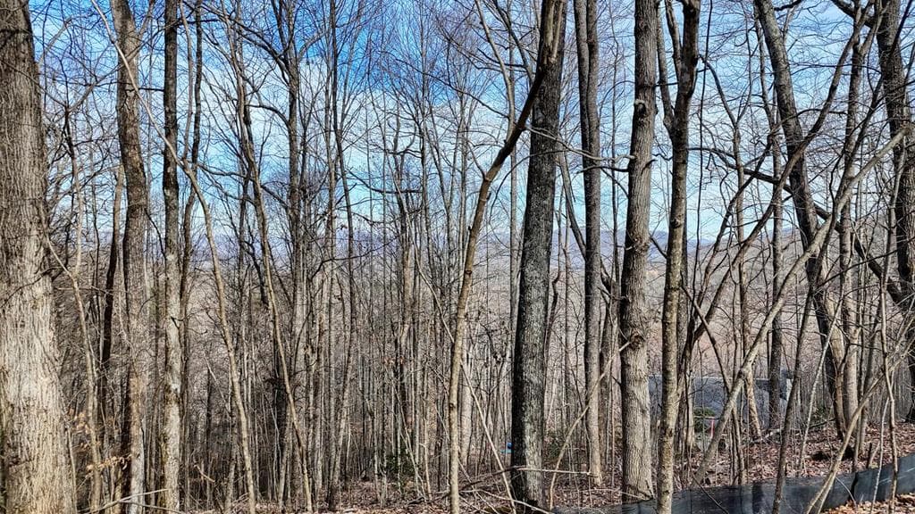 Lot #5 Overlook At Y.H., Young Harris GA 30582 - Photo