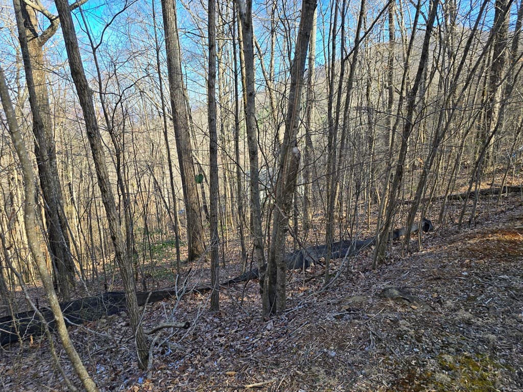 Lot #5 Overlook At Y.H., Young Harris GA 30582 - Photo
