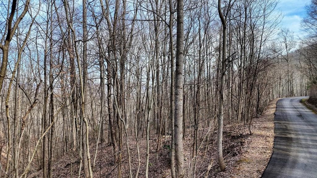 Lot #5 Overlook At Y.H., Young Harris GA 30582 - Photo