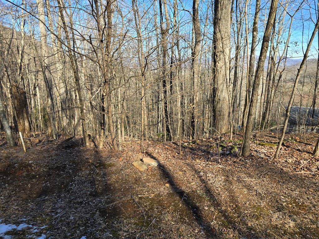 Lot #5 Overlook At Y.H., Young Harris GA 30582 - Photo