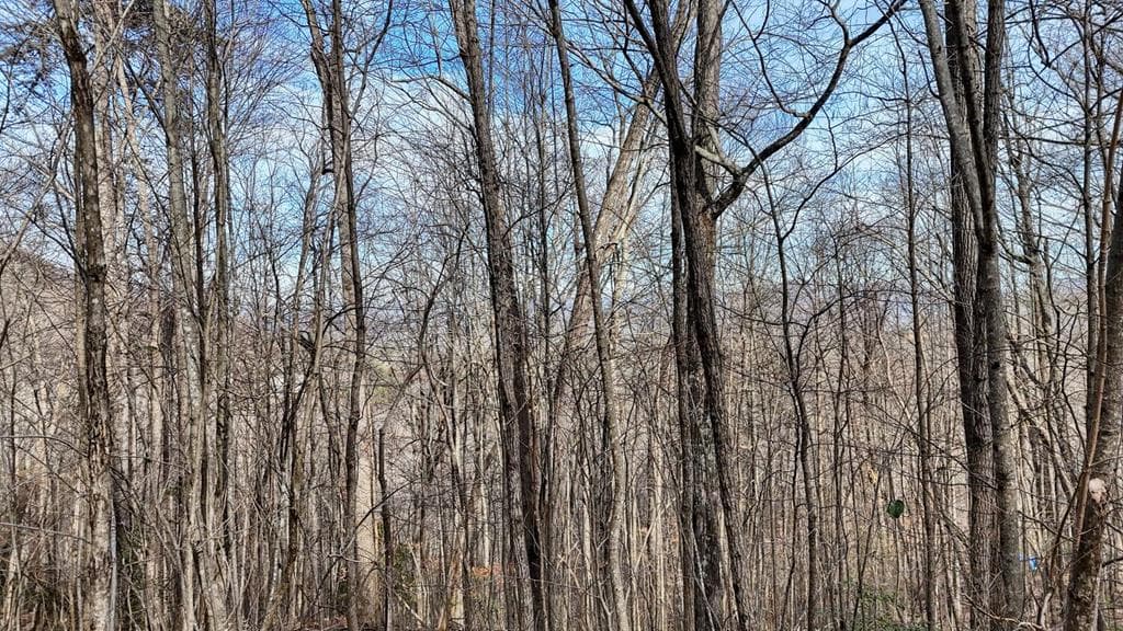 Lot #5 Overlook At Y.H., Young Harris GA 30582 - Photo
