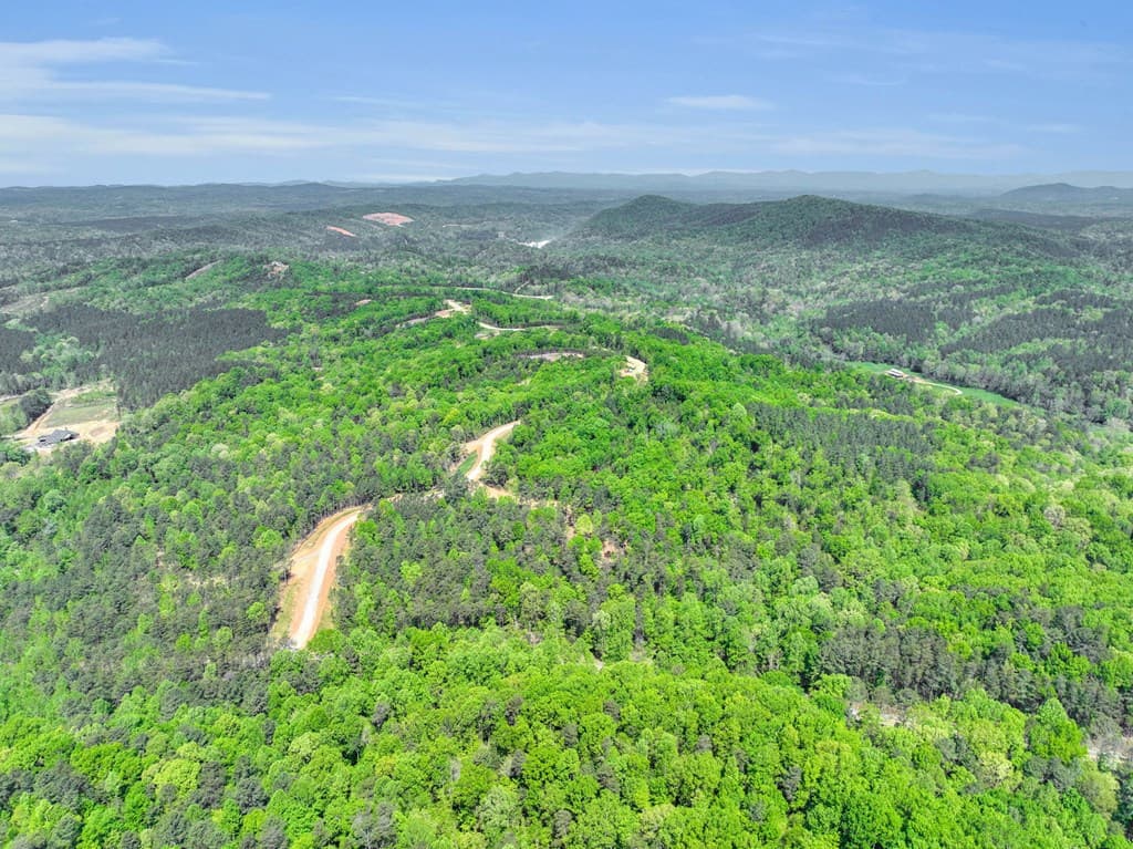 656 Lookout Valley Trail, Talking Rock GA 30175 - Photo