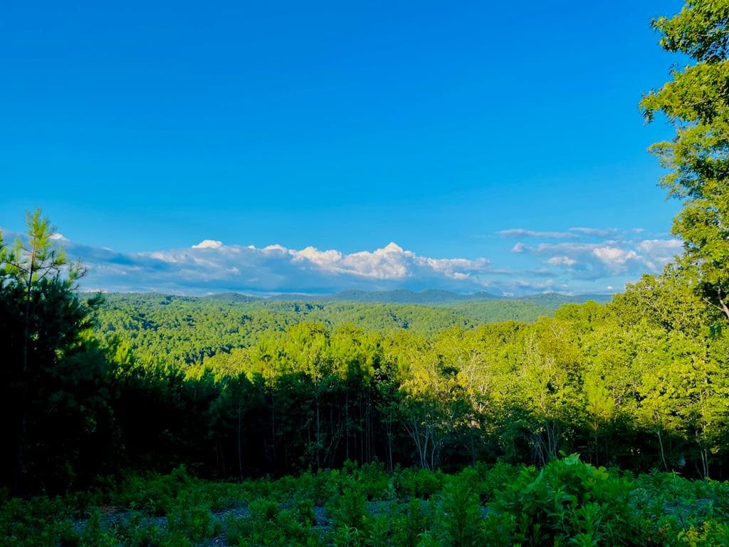 656 Lookout Valley Trail, Talking Rock GA 30175 - Primary photo