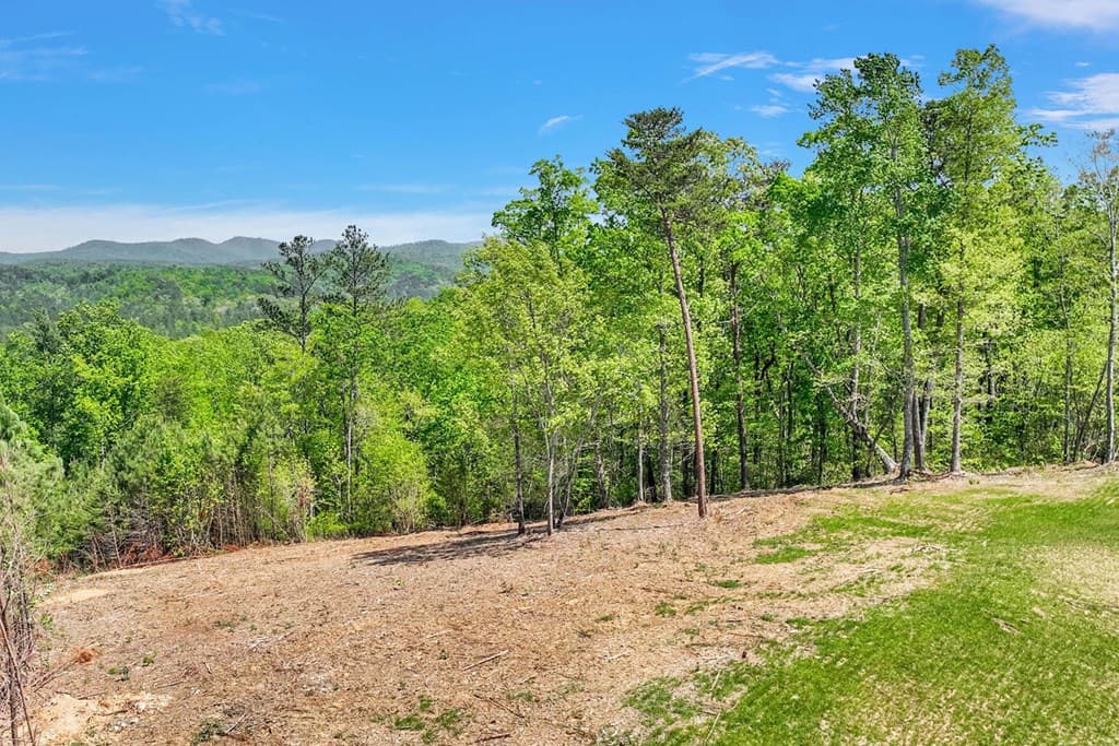 656 Lookout Valley Trail, Talking Rock GA 30175 - Photo