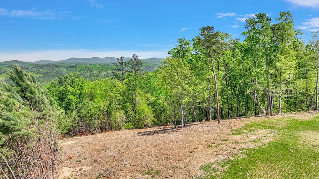 656 Lookout Valley Trail, Talking Rock GA 30175 - Photo