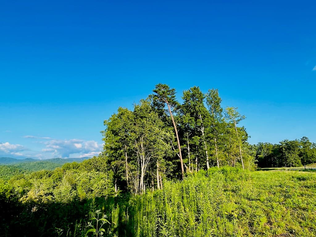656 Lookout Valley Trail, Talking Rock GA 30175 - Photo