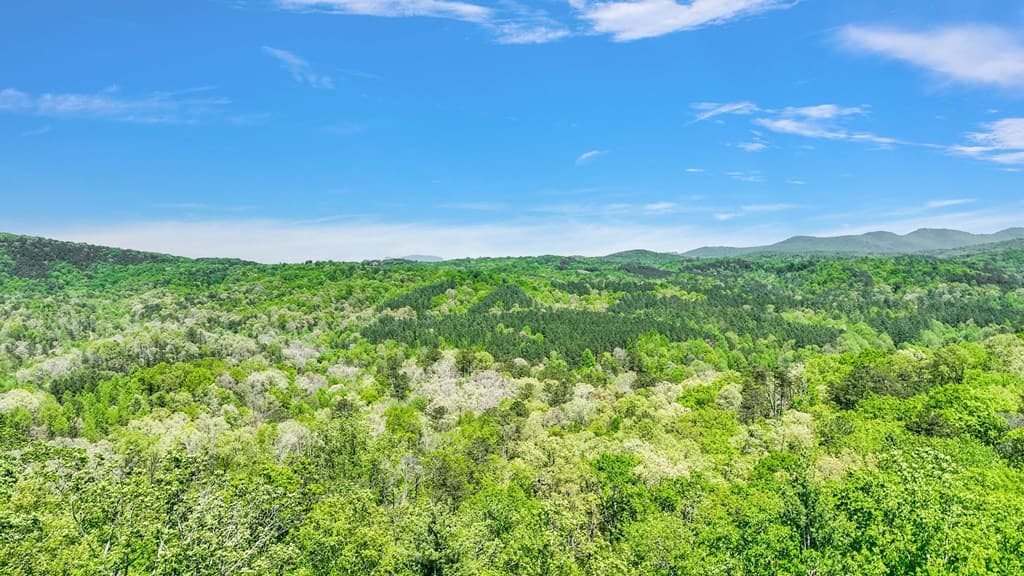 656 Lookout Valley Trail, Talking Rock GA 30175 - Photo