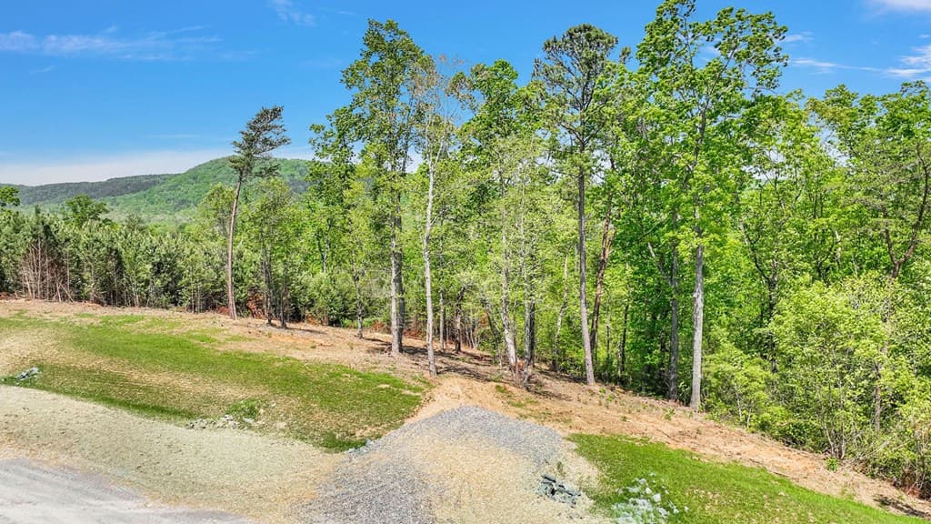 656 Lookout Valley Trail, Talking Rock GA 30175 - Photo