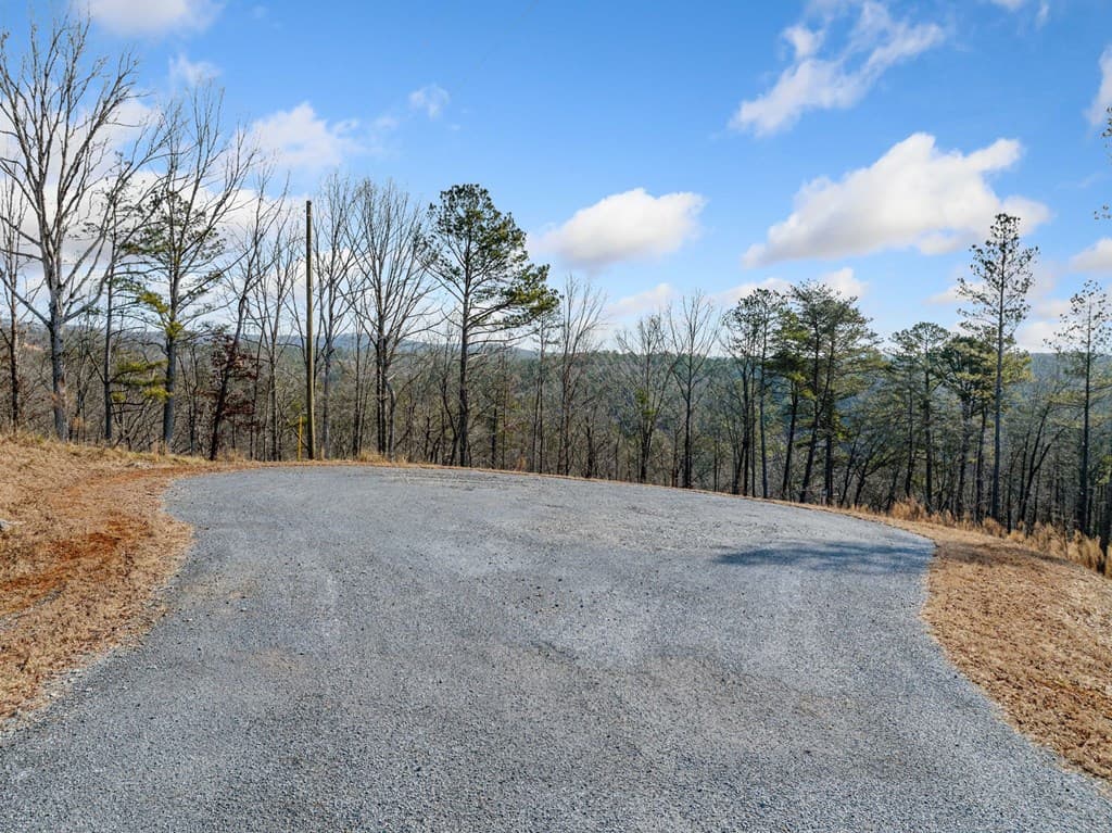 198 Blalock Mountain Court, Ellijay GA 30540 - Photo