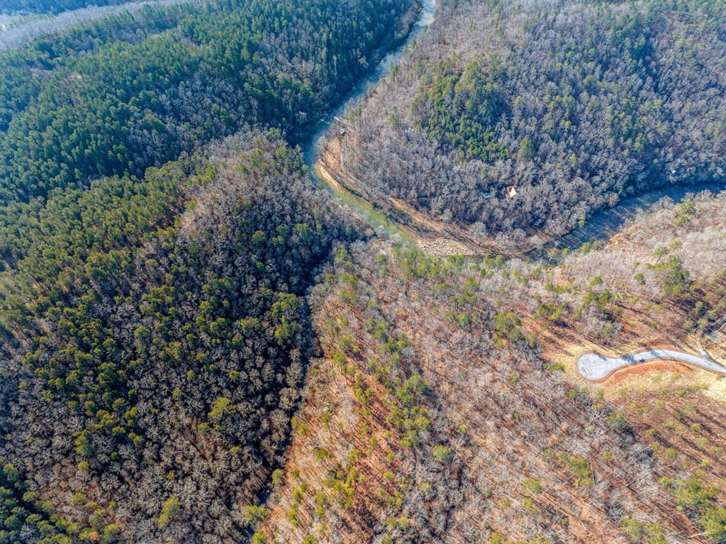 198 Blalock Mountain Court, Ellijay GA 30540 - Photo