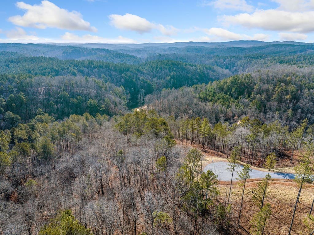198 Blalock Mountain Court, Ellijay GA 30540 - Photo