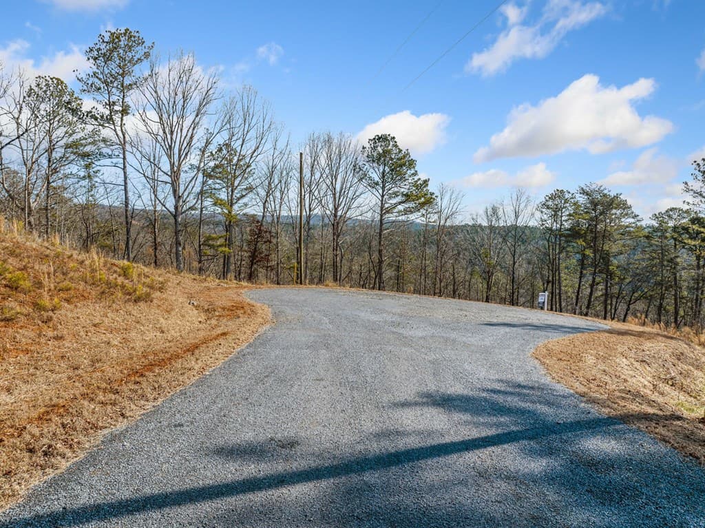 198 Blalock Mountain Court, Ellijay GA 30540 - Photo