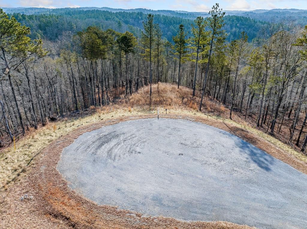 198 Blalock Mountain Court, Ellijay GA 30540 - Primary photo
