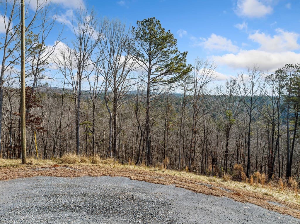 198 Blalock Mountain Court, Ellijay GA 30540 - Photo