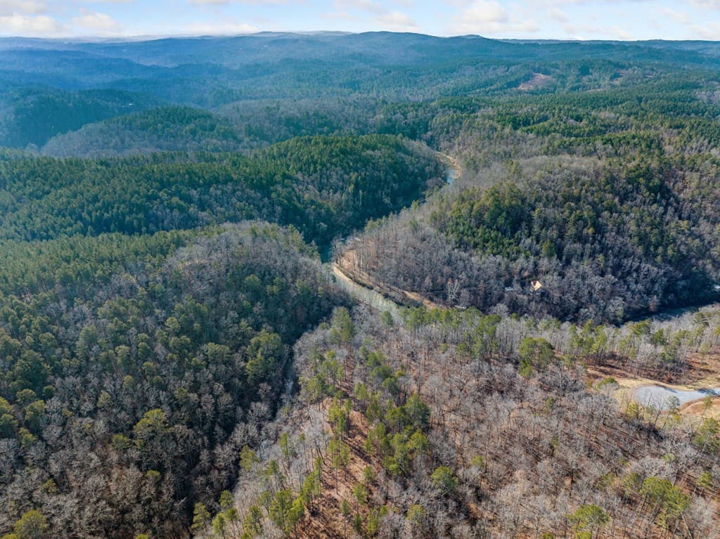 198 Blalock Mountain Court, Ellijay GA 30540 - Photo