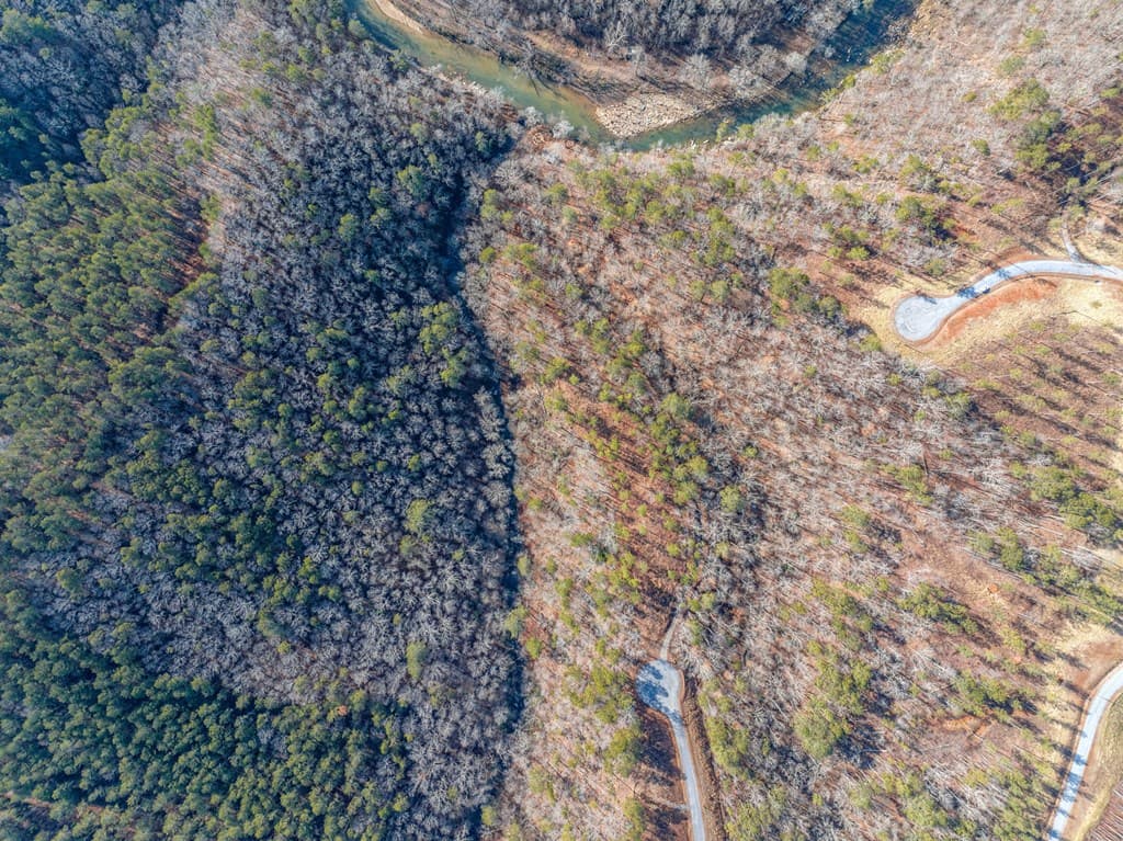 198 Blalock Mountain Court, Ellijay GA 30540 - Photo