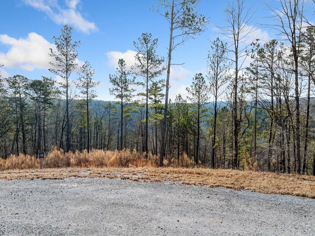 198 Blalock Mountain Court, Ellijay GA 30540 - Photo