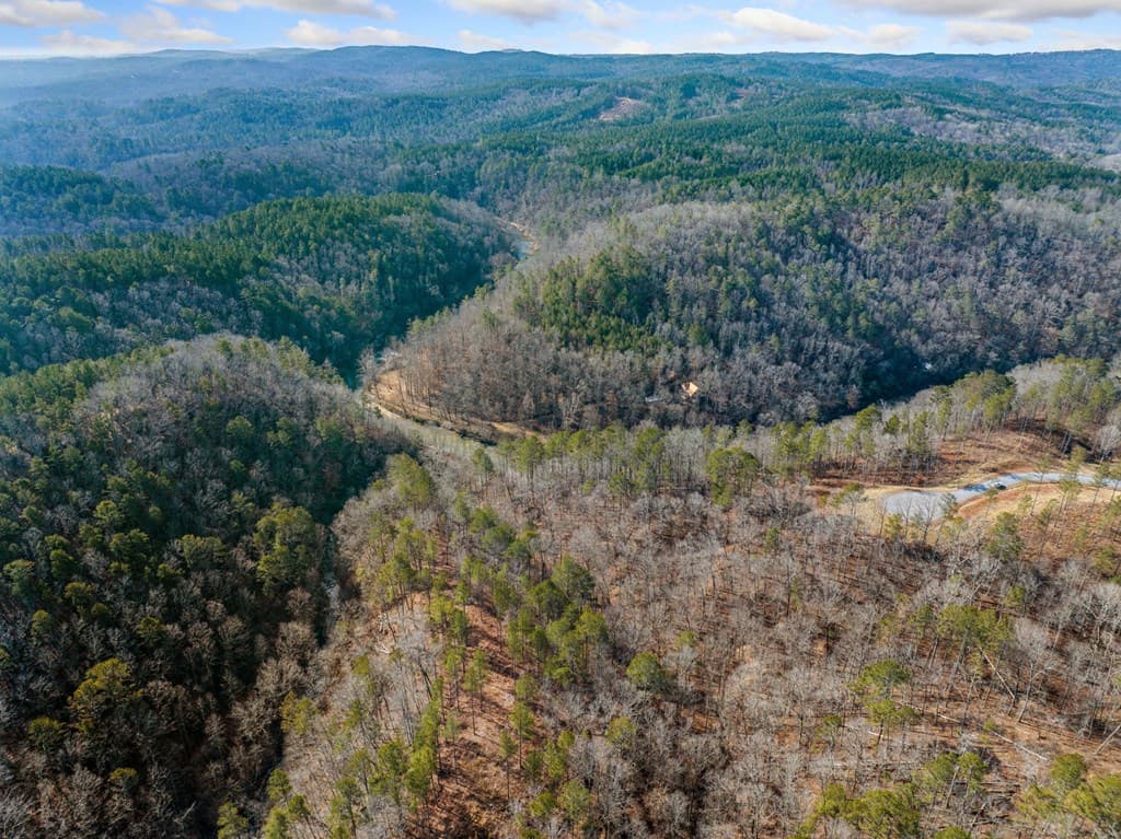 198 Blalock Mountain Court, Ellijay GA 30540 - Photo