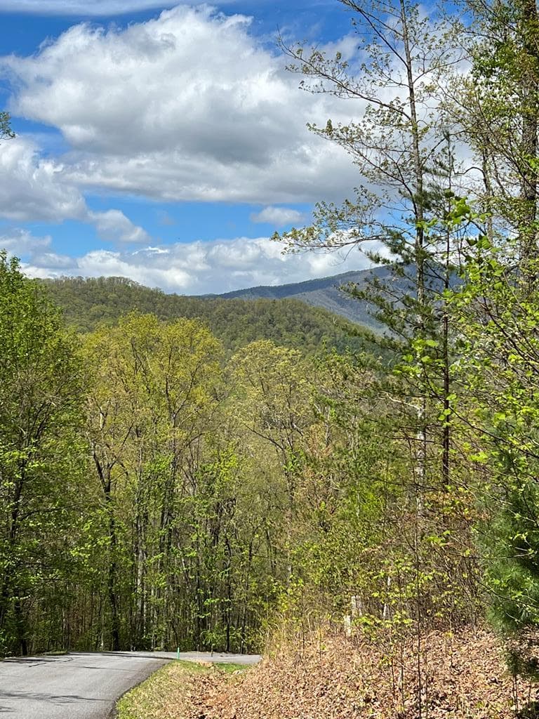 33 35 36 Ash Branch, Hayesville NC 28904 - Photo