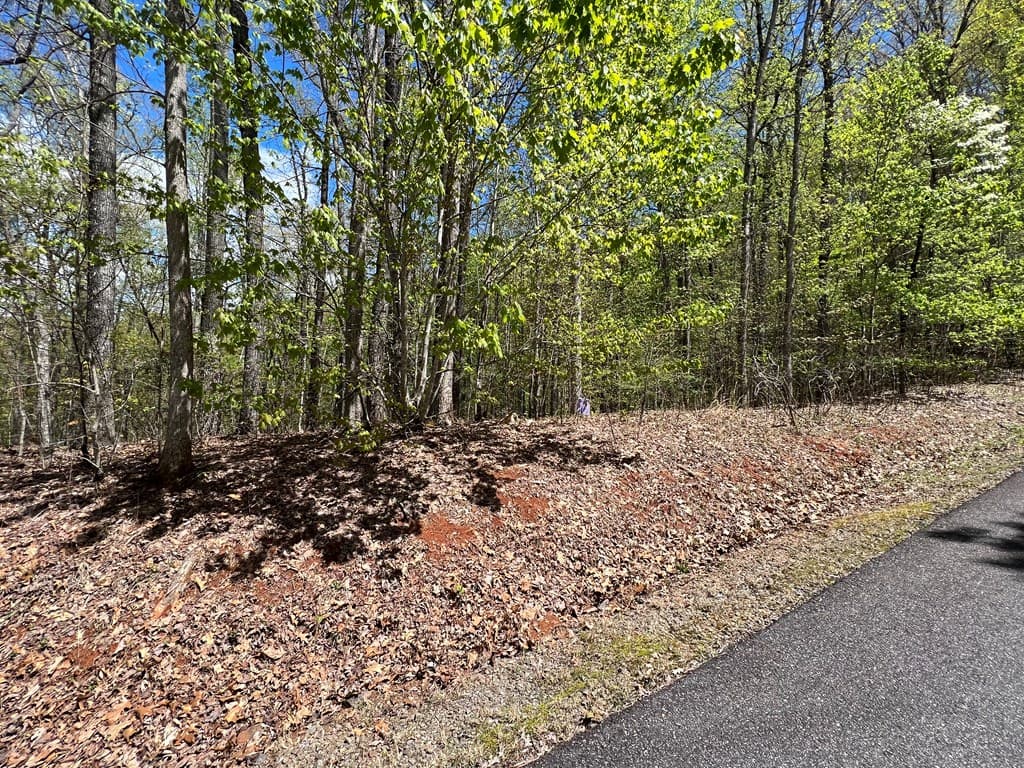 33 35 36 Ash Branch, Hayesville NC 28904 - Photo