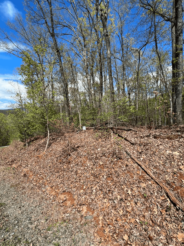 33 35 36 Ash Branch, Hayesville NC 28904 - Photo