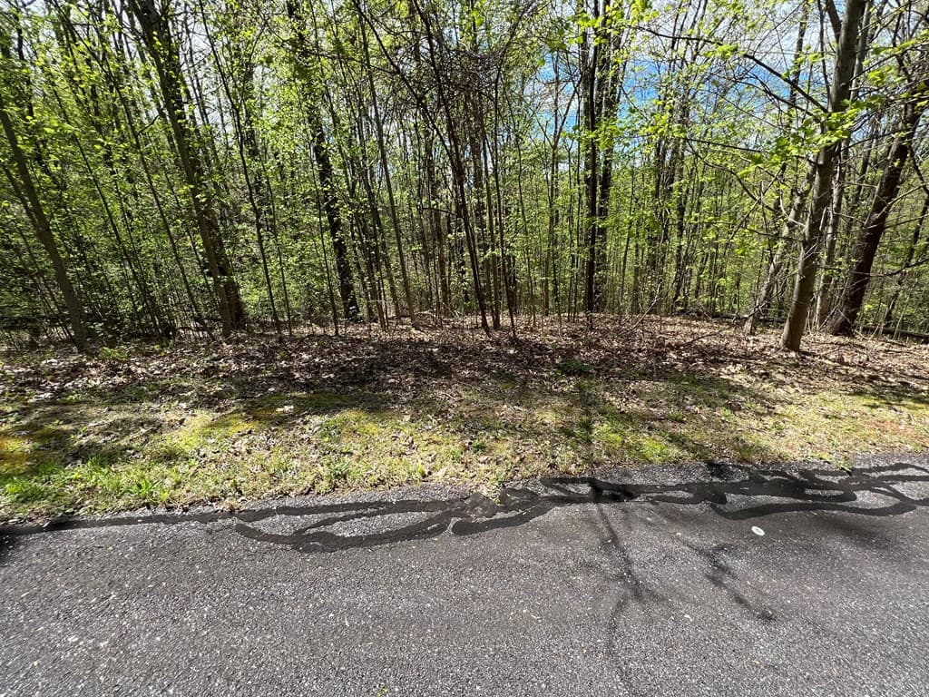 33 35 36 Ash Branch, Hayesville NC 28904 - Photo