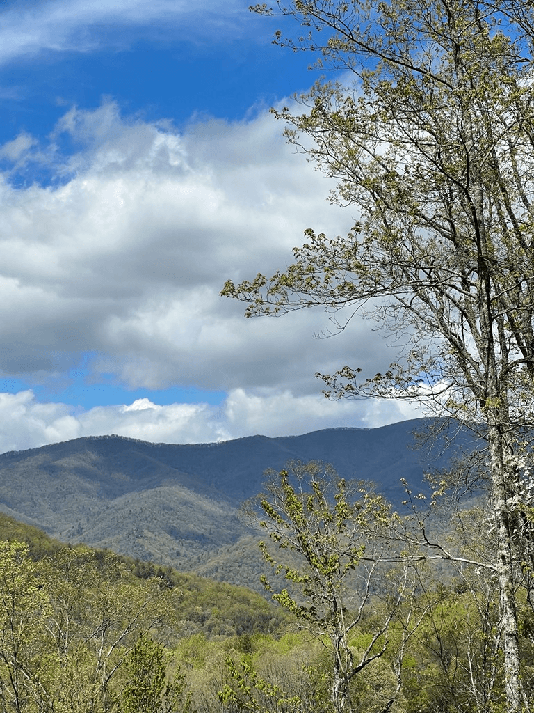 33 35 36 Ash Branch, Hayesville NC 28904 - Photo