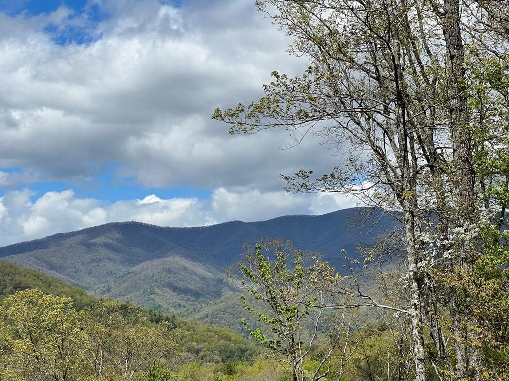 33 35 36 Ash Branch, Hayesville NC 28904 - Primary photo