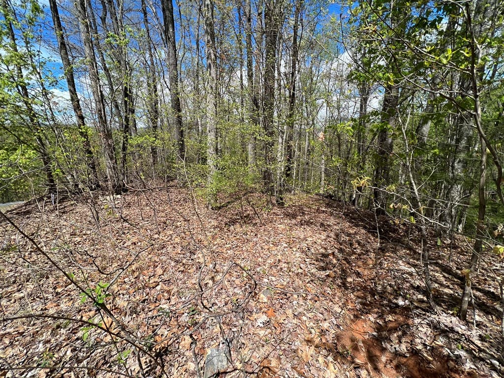33 35 36 Ash Branch, Hayesville NC 28904 - Photo