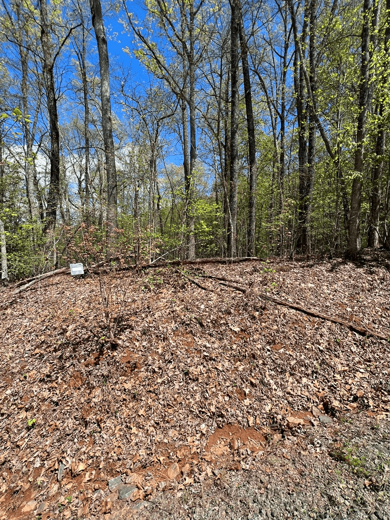 33 35 36 Ash Branch, Hayesville NC 28904 - Photo
