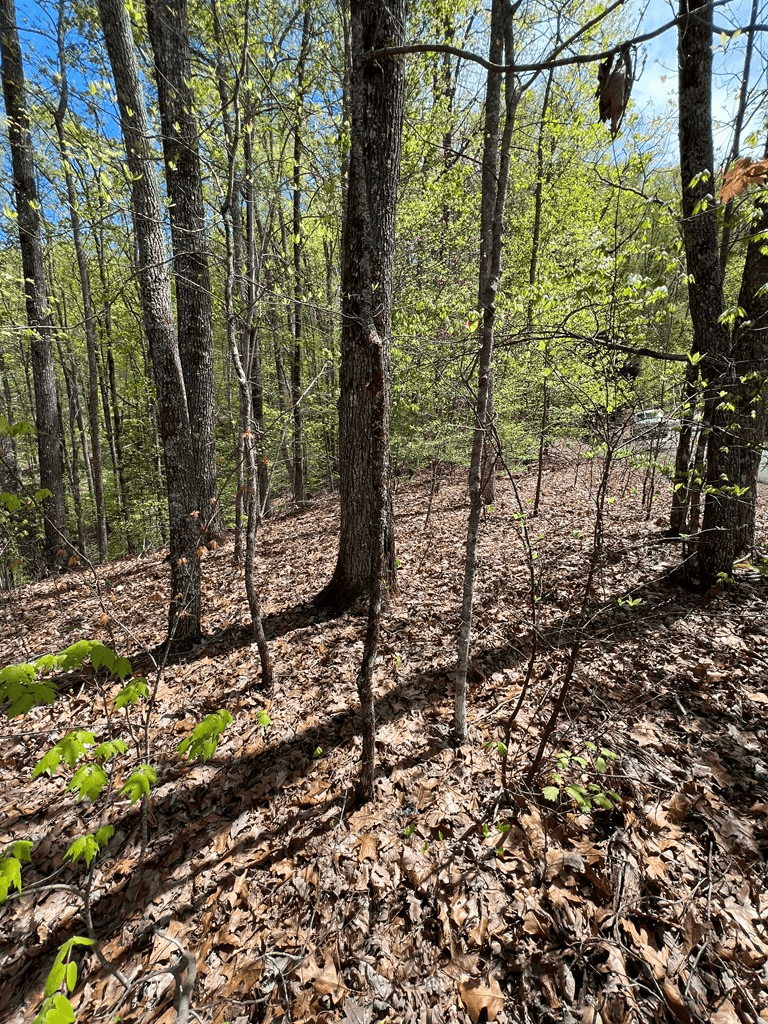 33 35 36 Ash Branch, Hayesville NC 28904 - Photo