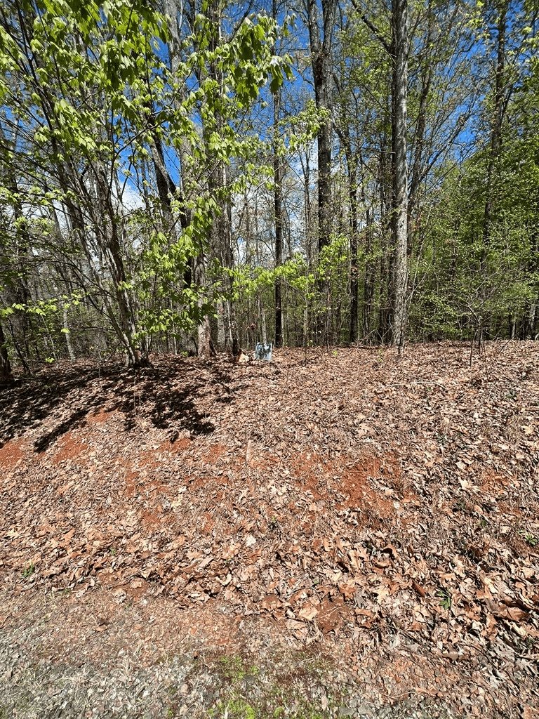 33 35 36 Ash Branch, Hayesville NC 28904 - Photo