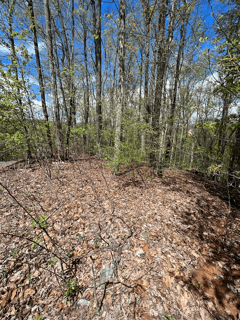 33 35 36 Ash Branch, Hayesville NC 28904 - Photo