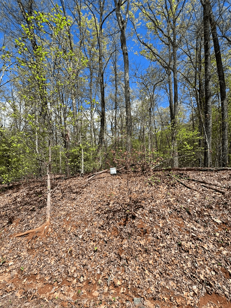 33 35 36 Ash Branch, Hayesville NC 28904 - Photo