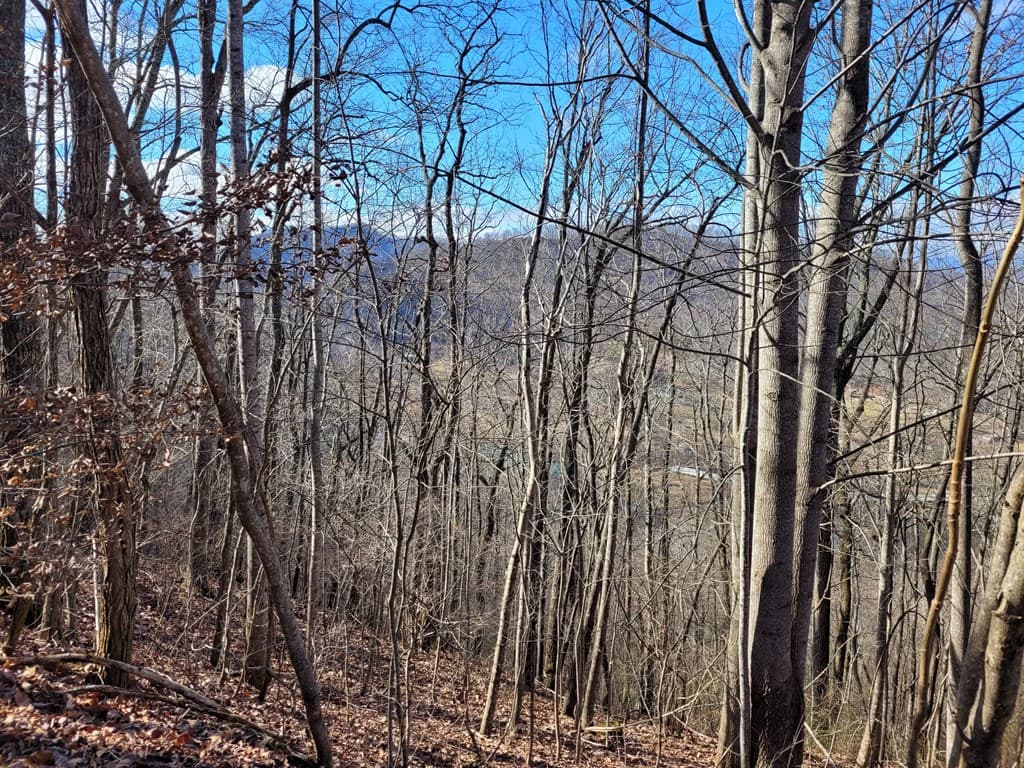 72 Colt Run, Hayesville NC 28904 - Photo