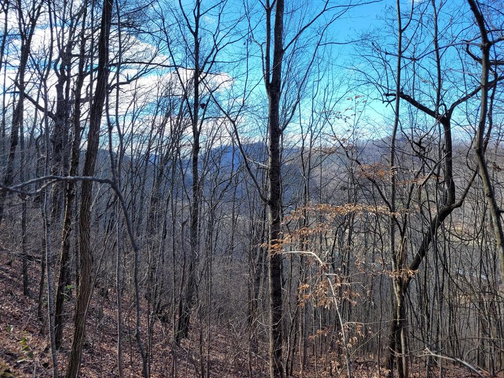 72 Colt Run, Hayesville NC 28904 - Primary photo