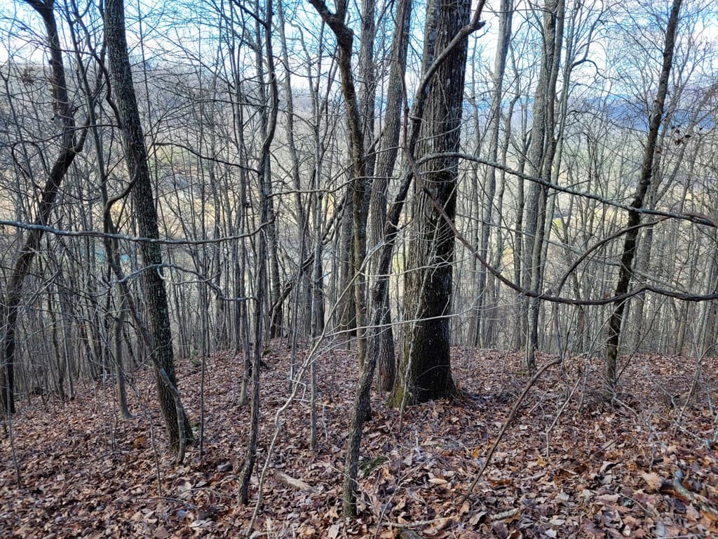 72 Colt Run, Hayesville NC 28904 - Photo