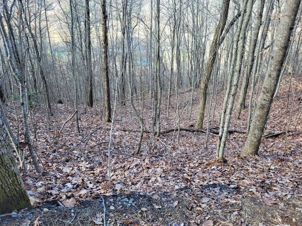 72 Colt Run, Hayesville NC 28904 - Photo