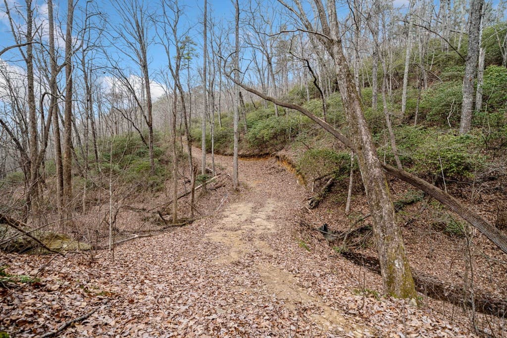 0 Big Oak Drive, Jasper GA 30143 - Photo